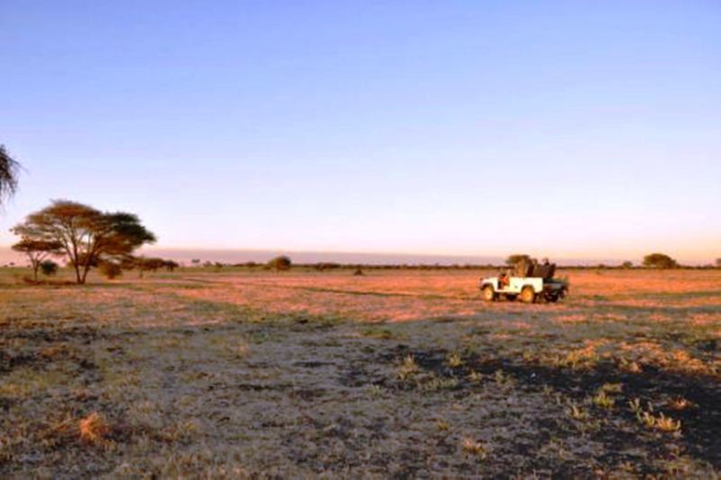 Grootfontein Dornhuegel Guestfarm酒店 外观 照片