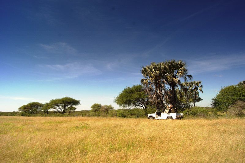 Grootfontein Dornhuegel Guestfarm酒店 外观 照片