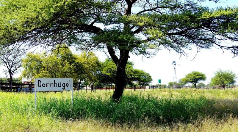 Grootfontein Dornhuegel Guestfarm酒店 外观 照片