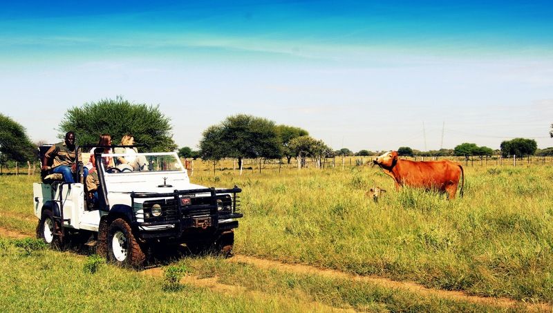 Grootfontein Dornhuegel Guestfarm酒店 外观 照片