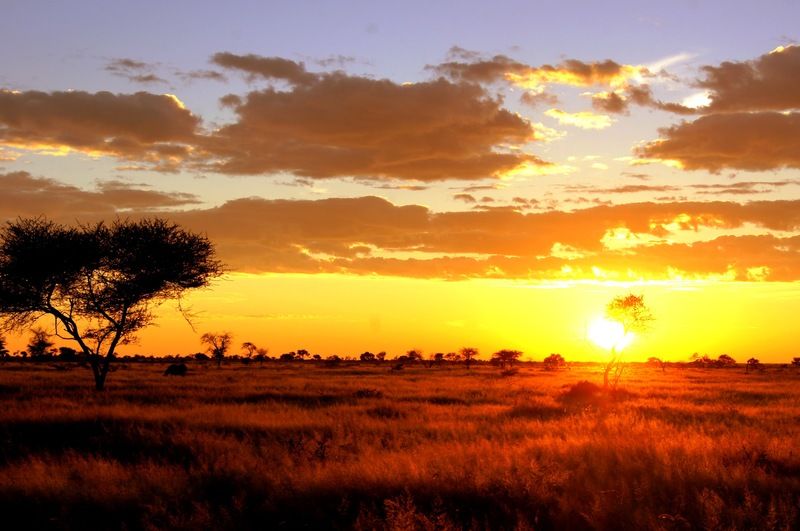 Grootfontein Dornhuegel Guestfarm酒店 外观 照片